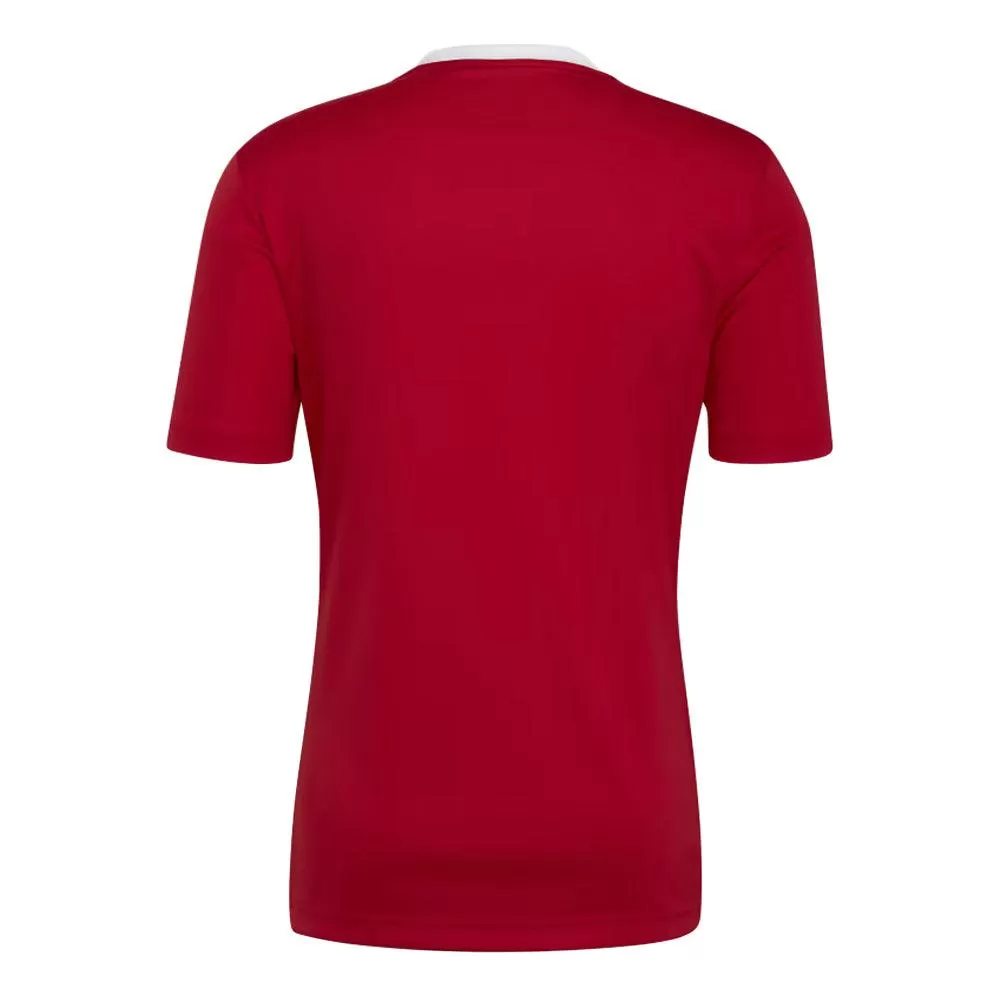 Adidas Camiseta Entry 22 Hombre