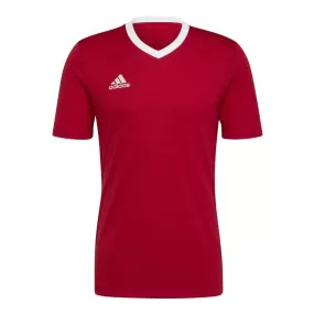 Adidas Camiseta Entry 22 Hombre