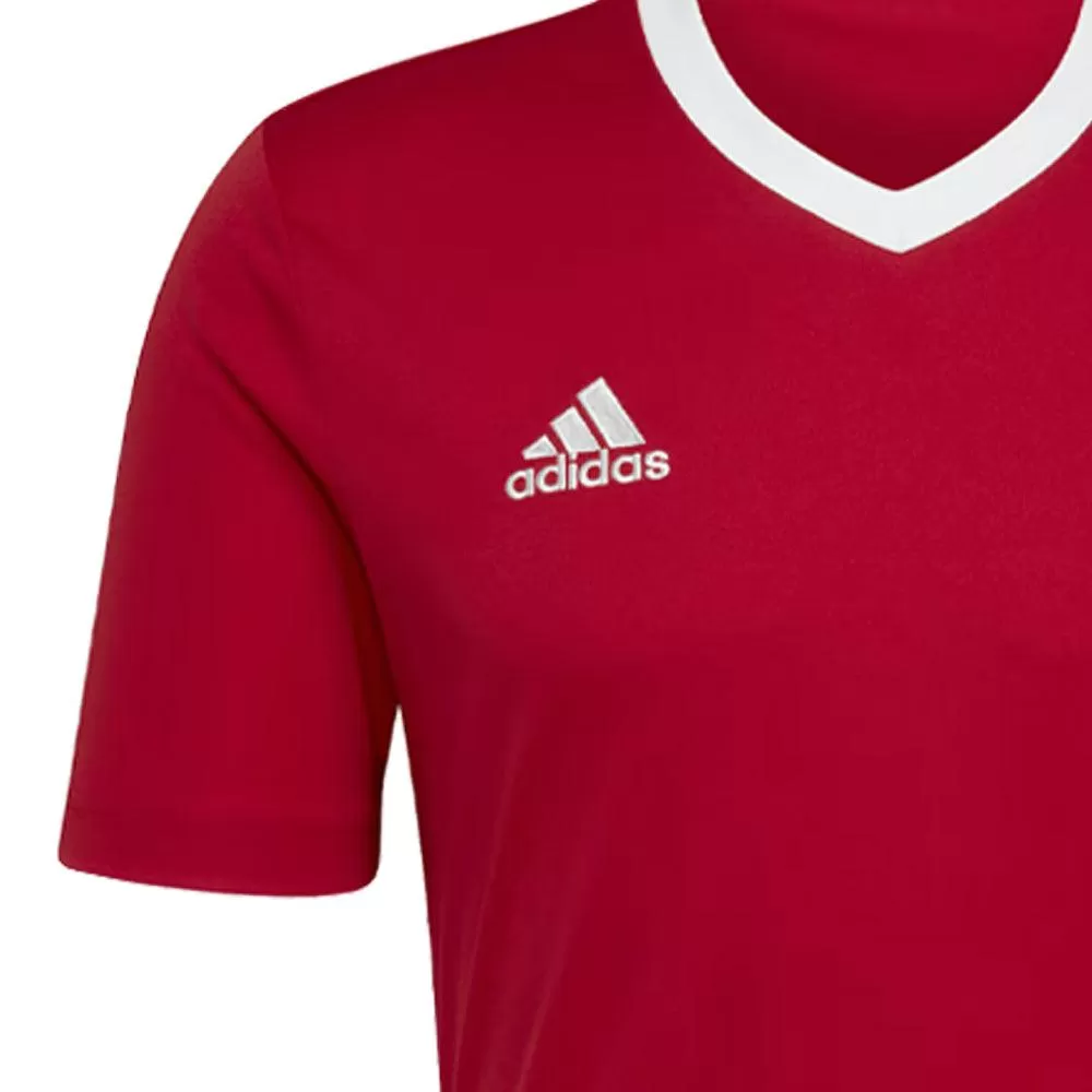 Adidas Camiseta Entry 22 Hombre