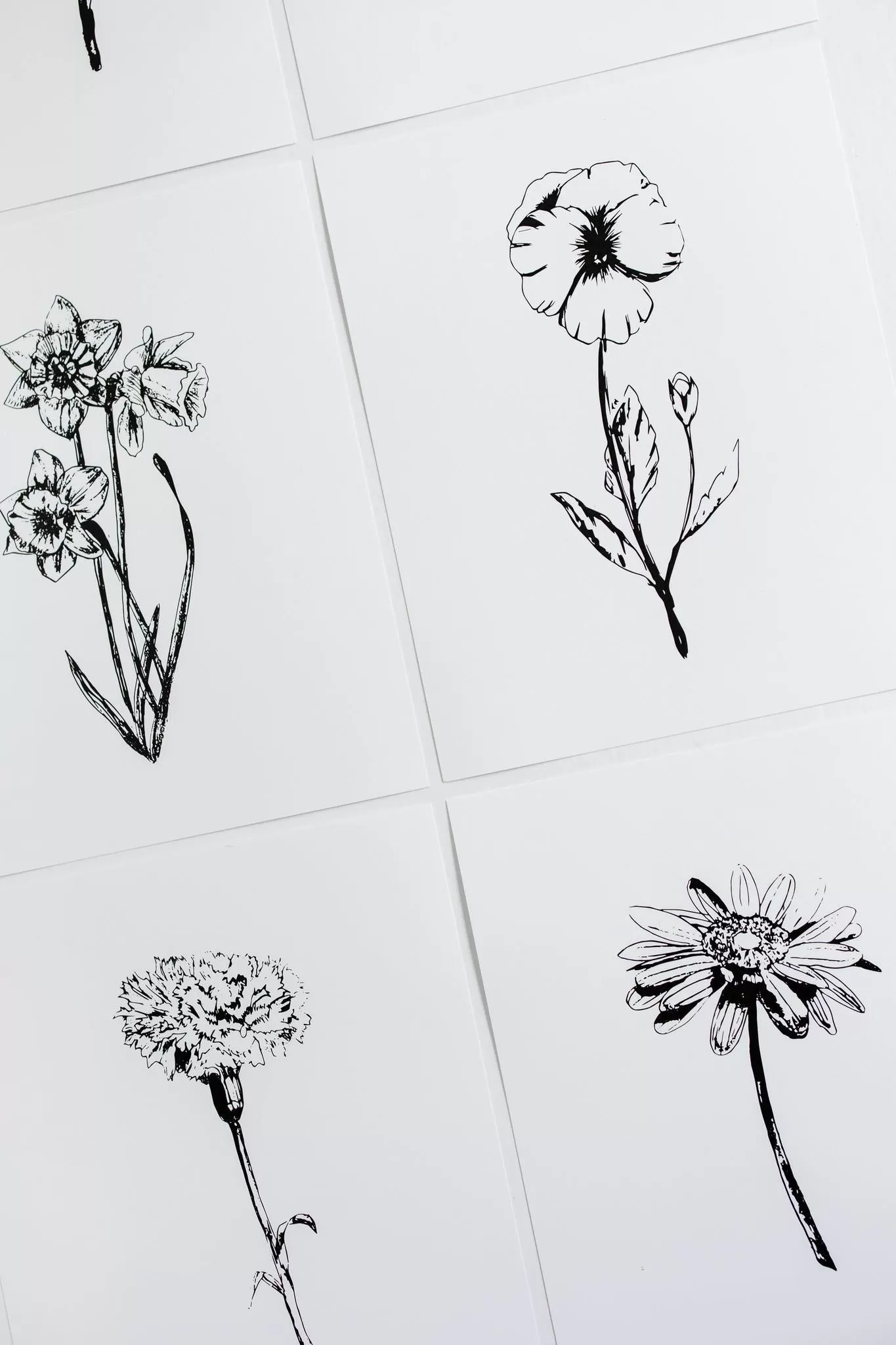 Black & White Flower Prints | Set of 12