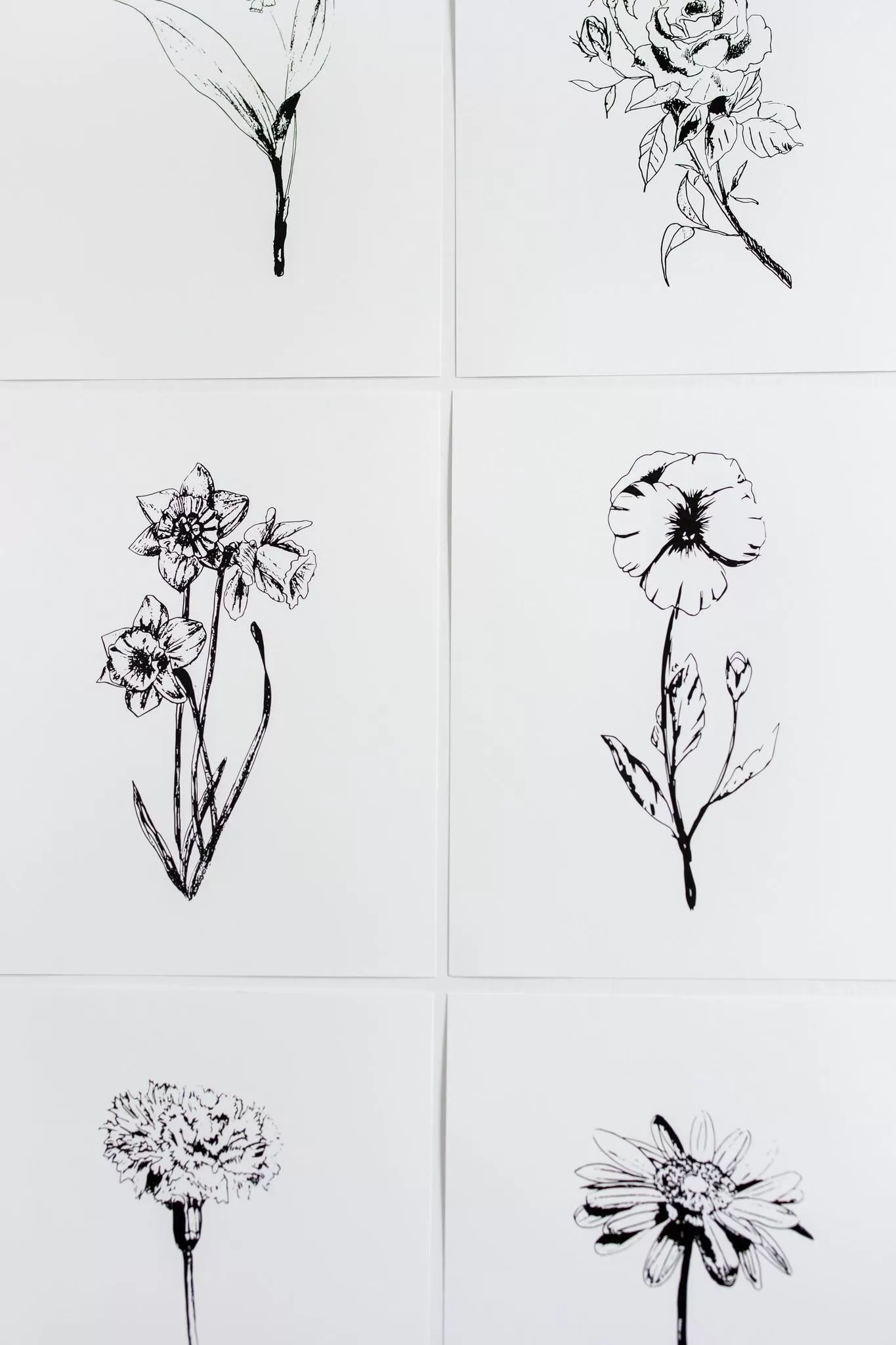 Black & White Flower Prints | Set of 12