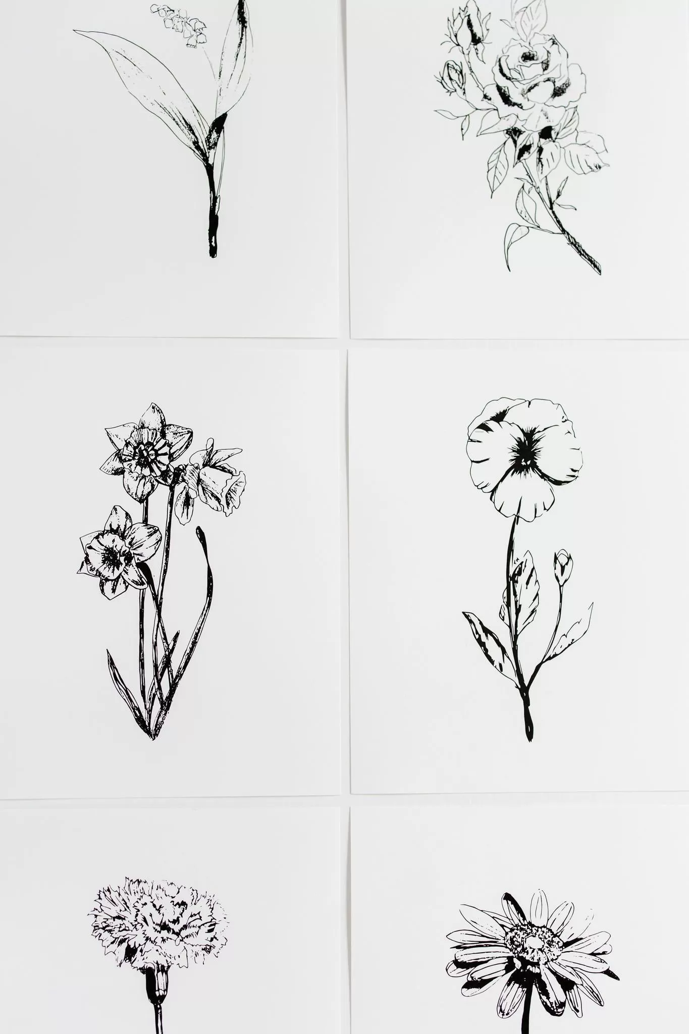 Black & White Flower Prints | Set of 12