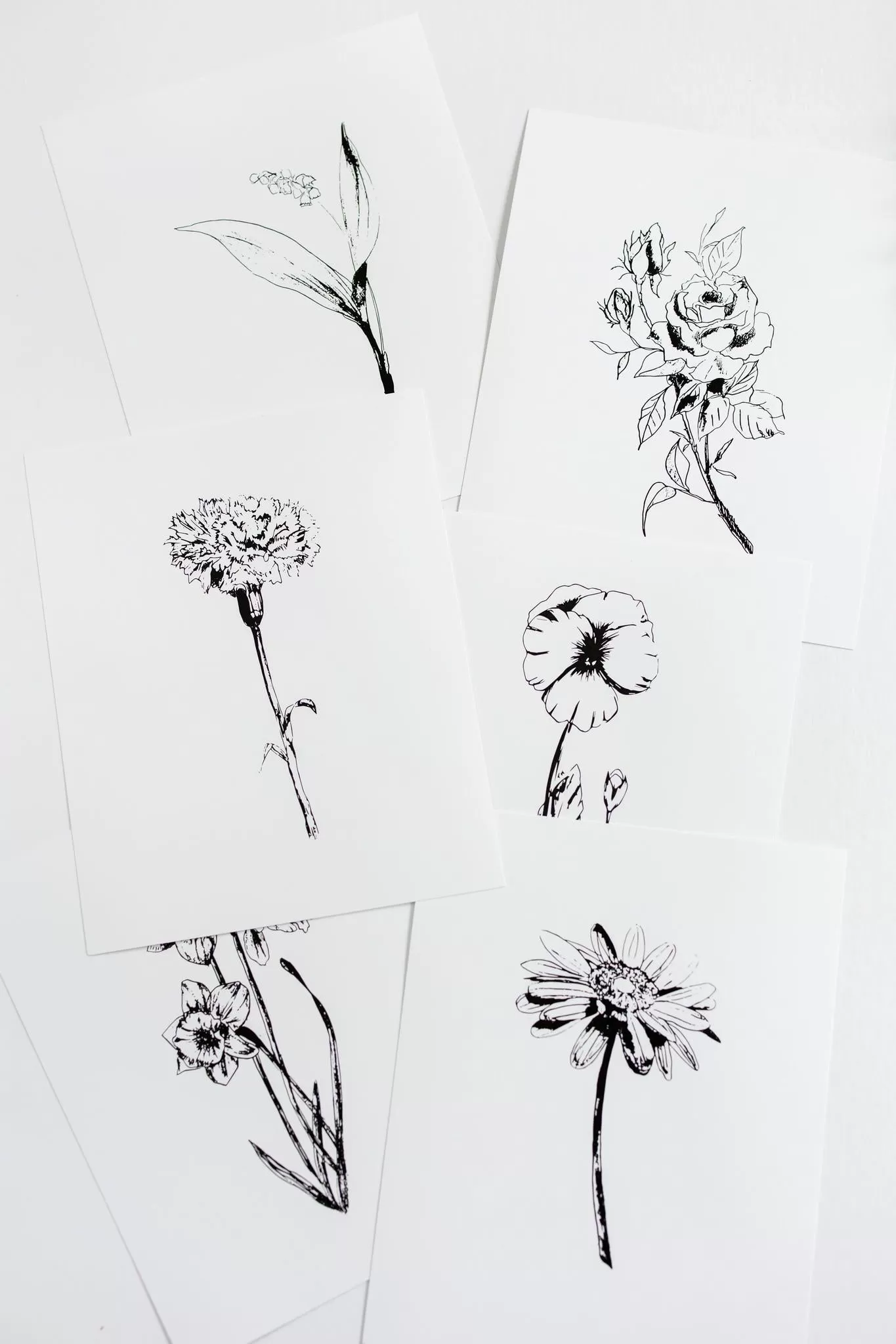 Black & White Flower Prints | Set of 12