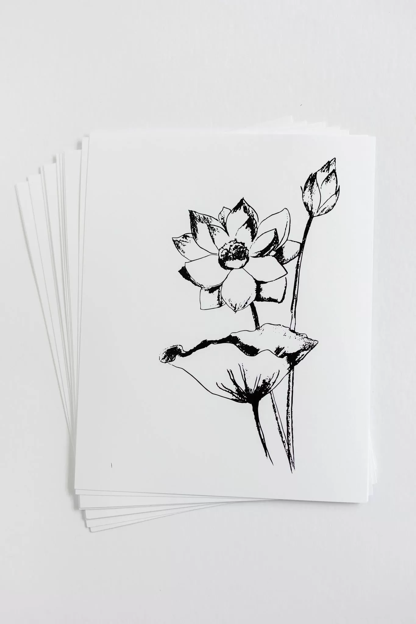 Black & White Flower Prints | Set of 12