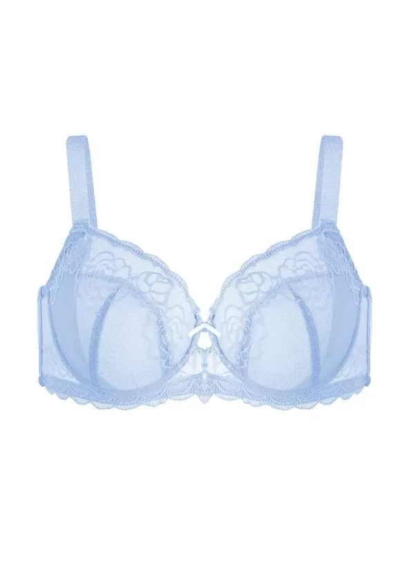 HSIA Underwire Bra, 34-40C/34-42D/34-42DD/34-44DDD