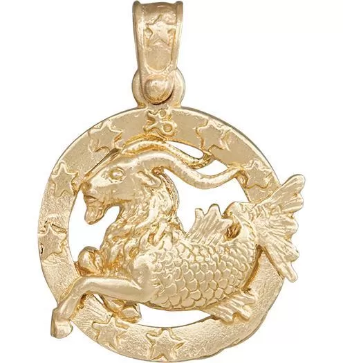 Large Capricorn Zodiac Charm